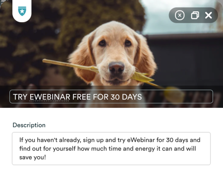 Interaction avec l'image