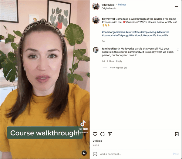 Tidy Revival promoting webinar on Instagram